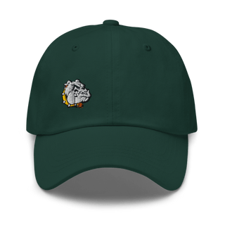 Rudyard Senior High School 10643108 Classic Dad Hat | Yupoong 6245CM