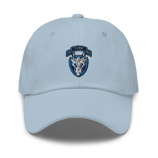 95th cbrn 3rd plt Classic Dad Hat | Yupoong 6245CM