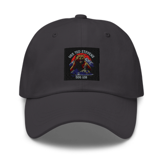 TED STEVENS 69093097 Classic Dad Hat | Yupoong 6245CM
