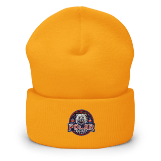 Polar Select Cuffed Beanie | Yupoong 1501KC