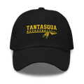 Warriors Dad hat