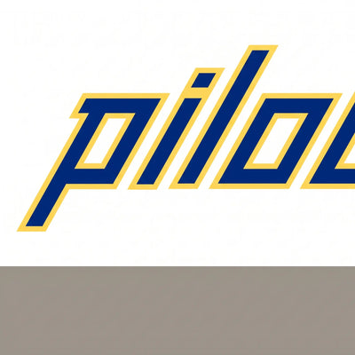 Pilots Hoodie - 2