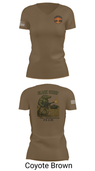 Womens Short Sleeve Vneck Shirt, 4th Assault Amphibian Battalion, Company B, , Teamtime, Team time, sublimation, custom sports apparel, team uniforms, spirit wear, spiritwear, sports uniforms, custom shirts, team store, custom team store, fundraiser sports, apparel fundraiser