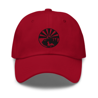 208 Transportation Company 94479647 Classic Dad Hat | Yupoong 6245CM