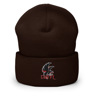Carteret-Onslow Youth Football & Cheer League (COYFL) Falcons 65584238 Cuffed Beanie | Yupoong 1501KC