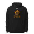 C Co 1-168 IN 52793869 Under Armour Hoodie