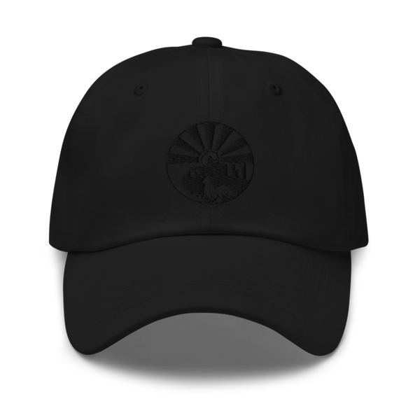 208 Transportation Company 94479647 Classic Dad Hat | Yupoong 6245CM