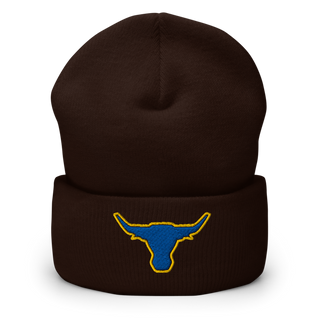 Longhorns Cuffed Beanie | Yupoong 1501KC