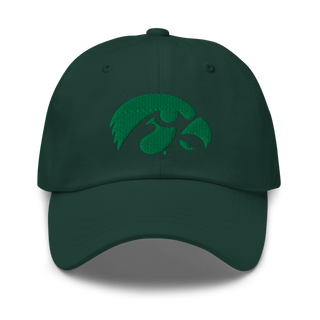 D-R Falcons 66653623 Classic Dad Hat | Yupoong 6245CM