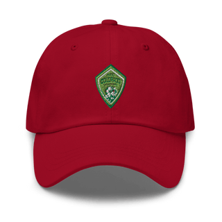 AFC Colorado Dragons 48470583 Classic Dad Hat | Yupoong 6245CM