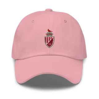 Orchard View High School Classic Dad Hat | Yupoong 6245CM
