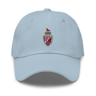 Orchard View High School Classic Dad Hat | Yupoong 6245CM