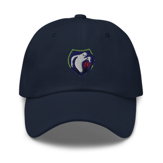 340th Psyop Co. 52894625 Classic Dad Hat | Yupoong 6245CM