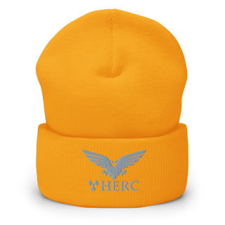Herc Services 63879409 Cuffed Beanie | Yupoong 1501KC