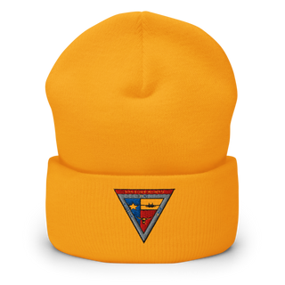 NAS JRB FORT WORTH 78488583 Cuffed Beanie | Yupoong 1501KC
