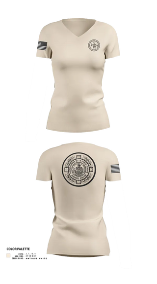 Womens Short Sleeve Vneck Shirt, PA S.I.T.E. STATE AGENTS PRIVATE POLICE, , Teamtime, Team time, sublimation, custom sports apparel, team uniforms, spirit wear, spiritwear, sports uniforms, custom shirts, team store, custom team store, fundraiser sports, apparel fundraiser