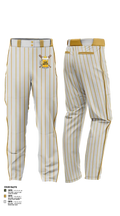 Team Wasted 73417864 Baseball Pants - 12
