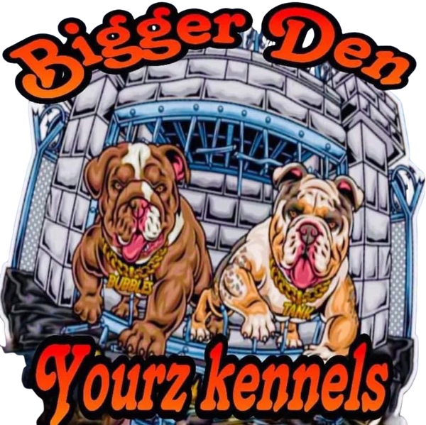 Bigger den yourz kennelz 20152754 Stainless Steel Water Bottle with a Straw Lid
