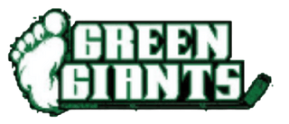 MN Green Giants Stainless Steel Water Bottle with a Straw Lid