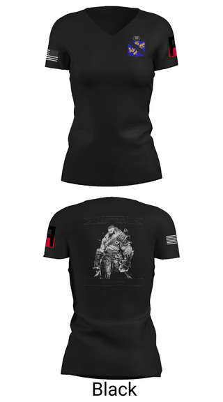 Womens Short Sleeve Vneck Shirt, 1-306th IN BN, , Teamtime, Team time, sublimation, custom sports apparel, team uniforms, spirit wear, spiritwear, sports uniforms, custom shirts, team store, custom team store, fundraiser sports, apparel fundraiser
