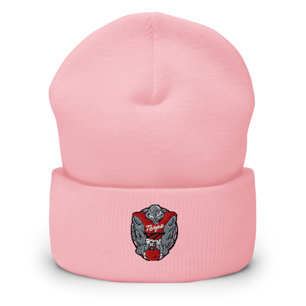 Terps Cuffed Beanie | Yupoong 1501KC