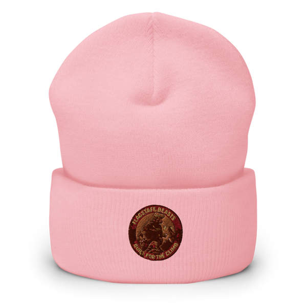 Flagstaff Recruiting 91126622 Cuffed Beanie | Yupoong 1501KC