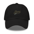 Butler Stars Dad hat