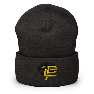 Putnam County High School Dance 87588051 Cuffed Beanie | Yupoong 1501KC