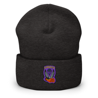 1st Battalion 503rd Infantry Regiment 53542236 Cuffed Beanie | Yupoong 1501KC