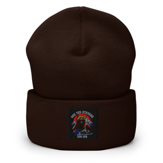 TED STEVENS 69093097 Cuffed Beanie | Yupoong 1501KC