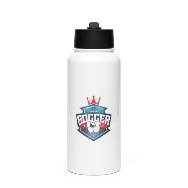 Fc 78534524 Stainless Steel Water Bottle with a Straw Lid