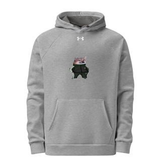 173 7005293 Under Armour Hoodie