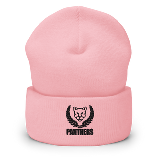 Panthers 50004080 Cuffed Beanie | Yupoong 1501KC