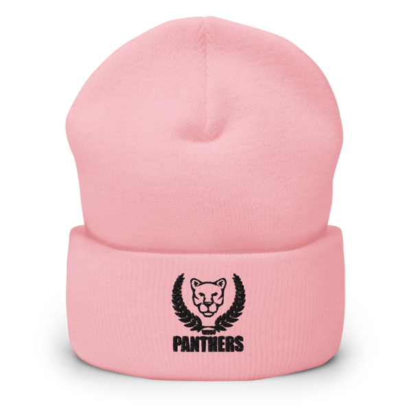 Panthers 50004080 Cuffed Beanie | Yupoong 1501KC