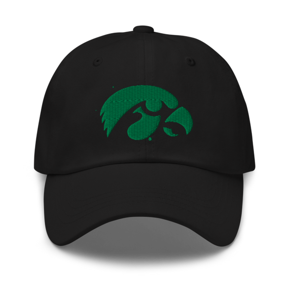 D-R Falcons 66653623 Classic Dad Hat | Yupoong 6245CM