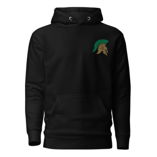 Aurora Central High School Dance 42464760 Unisex Premium Hoodie | Cotton Heritage M2580