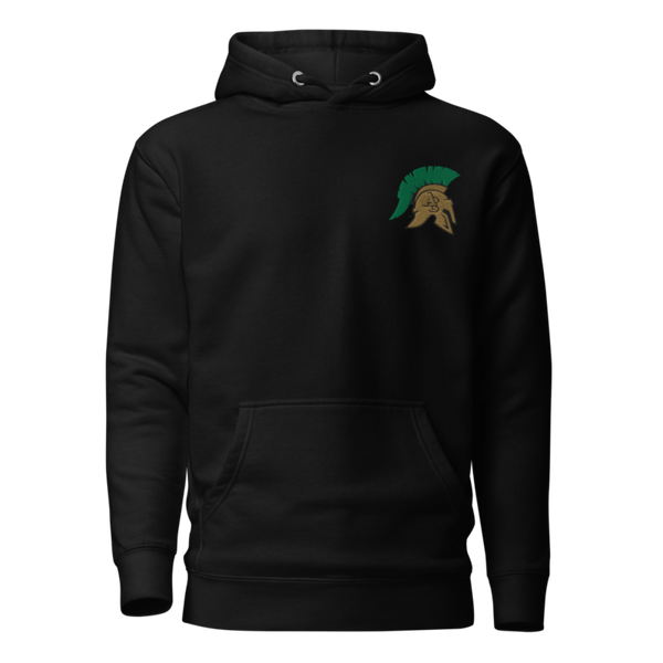 Aurora Central High School Dance 42464760 Unisex Premium Hoodie | Cotton Heritage M2580