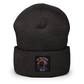TED STEVENS 69093097 Cuffed Beanie | Yupoong 1501KC