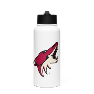 Kittitas Cheer 76378143 Stainless Steel Water Bottle with a Straw Lid