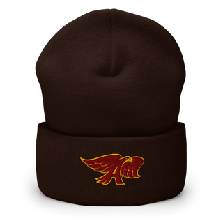 Ankeny High School Dance Team 22157319 Cuffed Beanie | Yupoong 1501KC