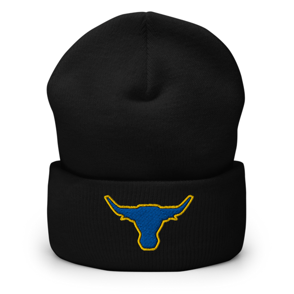 Longhorns Cuffed Beanie | Yupoong 1501KC