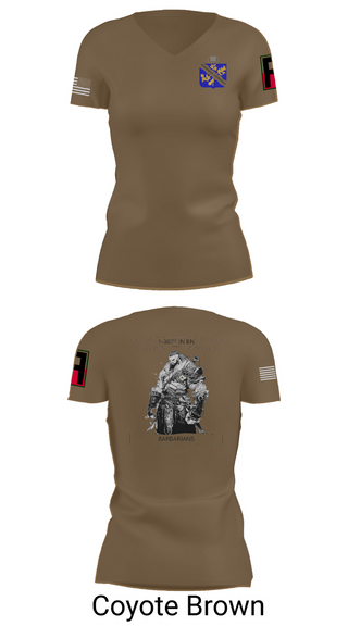 Womens Short Sleeve Vneck Shirt, 1-306th IN BN, , Teamtime, Team time, sublimation, custom sports apparel, team uniforms, spirit wear, spiritwear, sports uniforms, custom shirts, team store, custom team store, fundraiser sports, apparel fundraiser