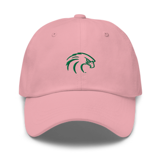 NSU Riverhawks Football 89263546 Classic Dad Hat | Yupoong 6245CM
