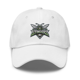 STINGERZ 4730031 Classic Dad Hat | Yupoong 6245CM