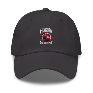 James River Humane Society 19714076 Classic Dad Hat | Yupoong 6245CM