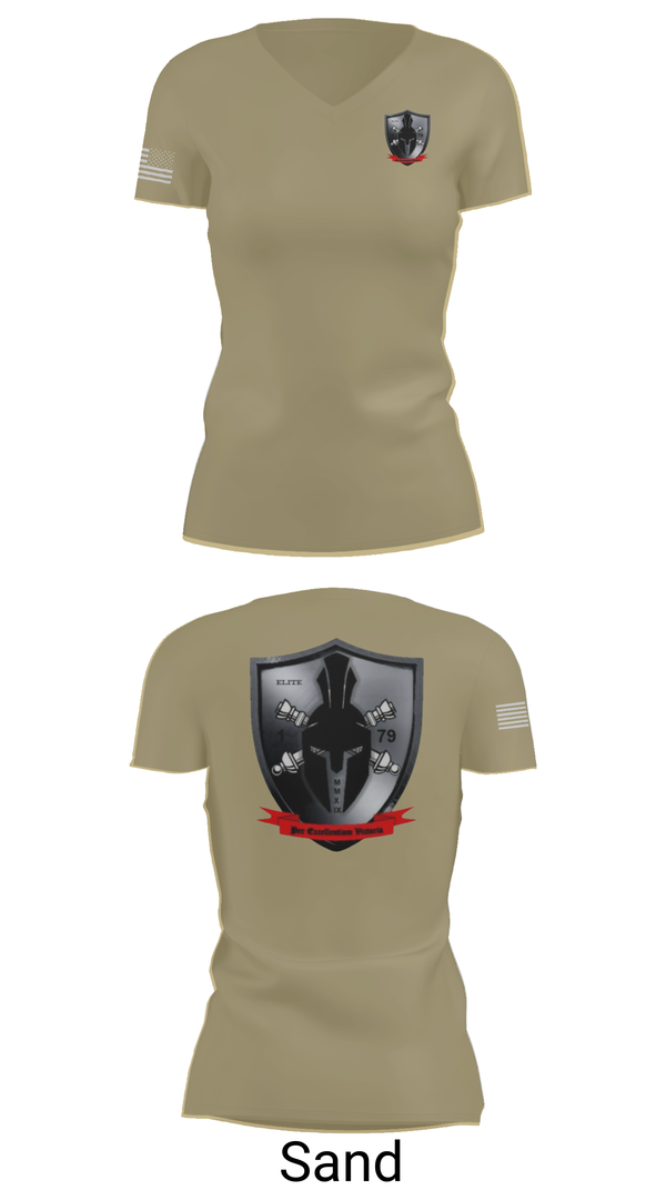 Womens Short Sleeve Vneck Shirt, E/1-79 FA, , Teamtime, Team time, sublimation, custom sports apparel, team uniforms, spirit wear, spiritwear, sports uniforms, custom shirts, team store, custom team store, fundraiser sports, apparel fundraiser