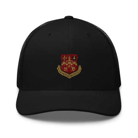 149th fighter Squadron Lone Star Retro Trucker Hat | Yupoong 6606