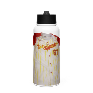 Volcanoes Stainless Steel Water Bottle with a Straw Lid