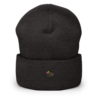 Aleman Property Maintenance & Remodeling LLC 82022864 Cuffed Beanie | Yupoong 1501KC