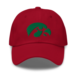 D-R Falcons 66653623 Classic Dad Hat | Yupoong 6245CM
